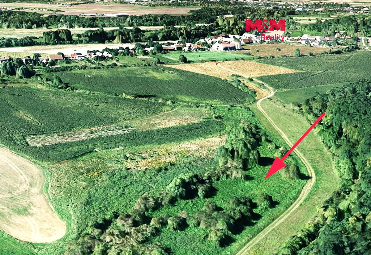 Prodej pole 6300 m²